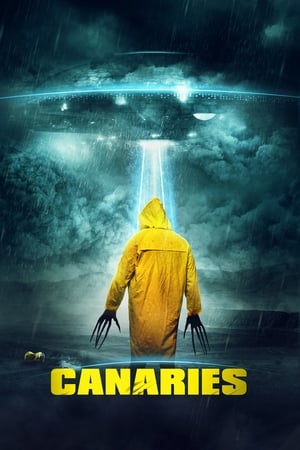Canaries (2017) Dual Audio | Dubbed Hindi Movie WebRip [840MB]