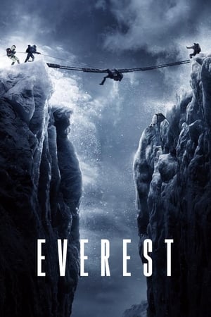 Everest (2015) Dual Audio | Dubbed Hindi Movie BluRay [1.3GB]