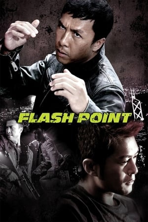 Flash Point (2007) Dual Audio | Dubbed Hindi Movie BluRay 300MB