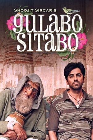 Gulabo Sitabo 2020 Movie | Dubbed Hindi Movie HDRip x264 [980MB]