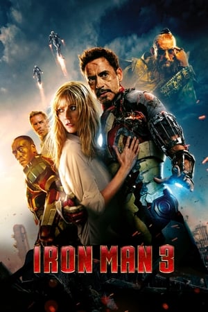 Iron Man 3 (2013) Dual Audio | Dubbed Hindi Movie BluRay [1GB]