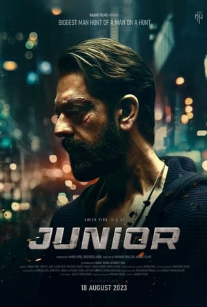 Junior 2023 Punjabi HDRip | Dubbed Hindi Movie | 480p