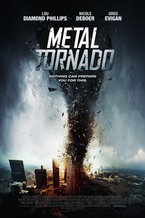 Metal Tornado 2011 Dual Audio | Dubbed Hindi Movie BluRay 300MB