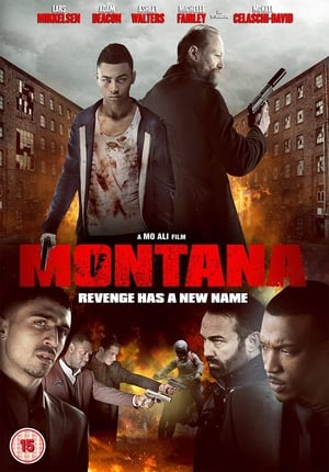 Montana (2014) Dual Audio | Dubbed Hindi Movie BluRay [900MB]