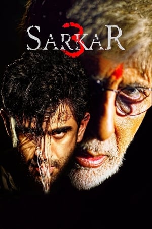 Sarkar 3 (2017) Full Movie HDCAM () [700MB] Download