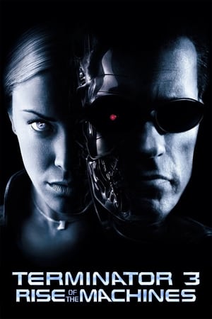 Terminator 3: Rise of the Machines (2003) Dual Audio | Dubbed Hindi Movie BluRay 350MB