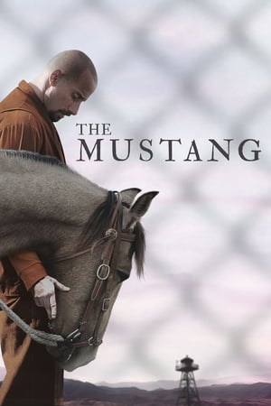 The Mustang (2019) Dual Audio | Dubbed Hindi Movie BluRay 300MB