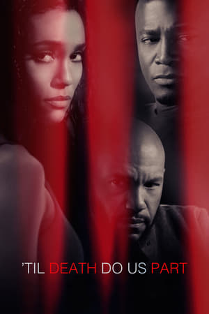 Til Death Do Us Part 2017 Dual Audio | Dubbed Hindi Movie Web-DL 300MB