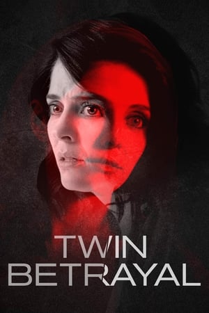 Twin Betrayal (2018) Dual Audio | Dubbed Hindi Movie HDRip 390MB