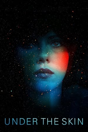 Under the Skin 2013 Dual Audio | Dubbed Hindi Movie BluRay [850MB]